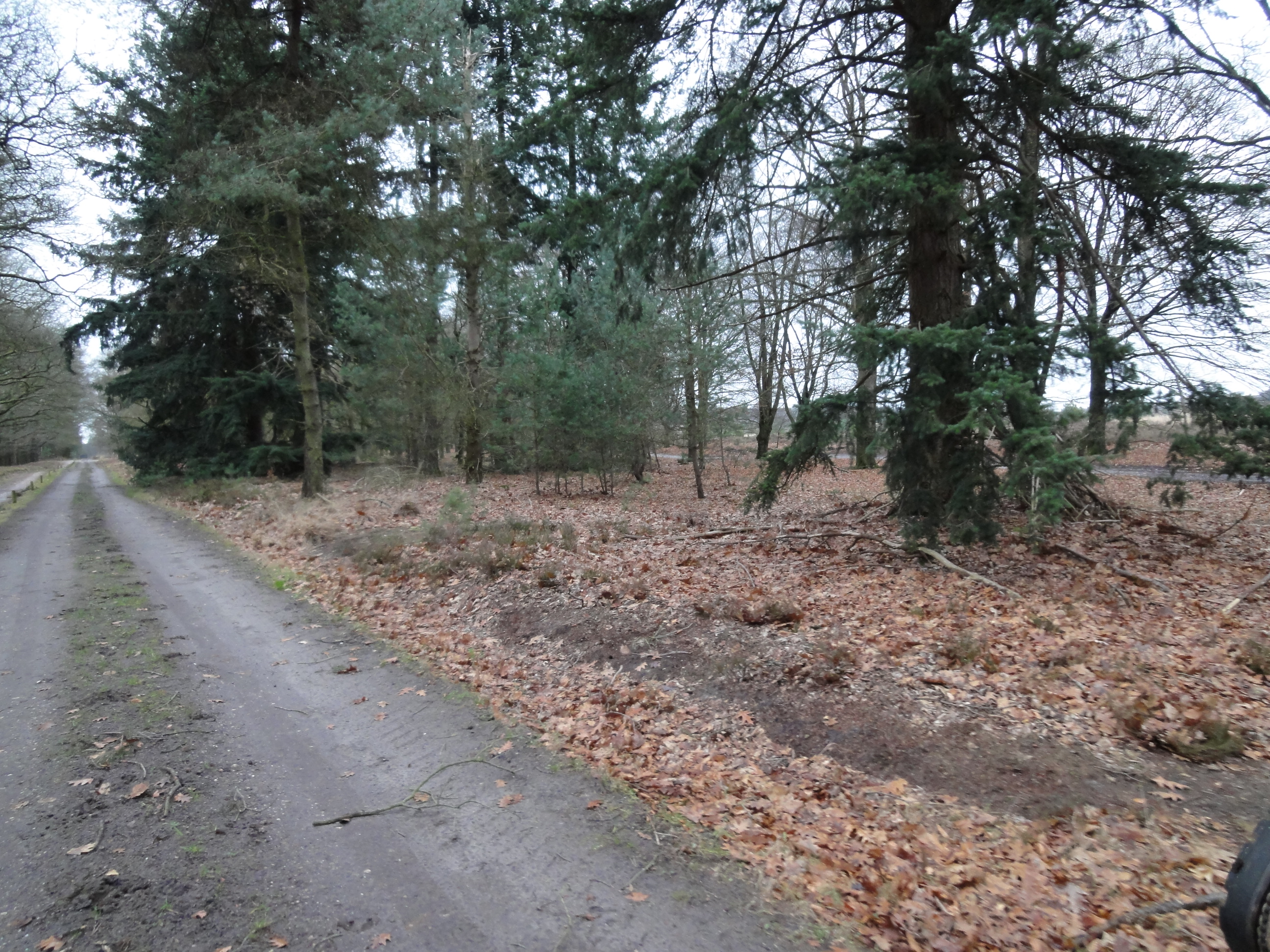 NWK 016.jpg